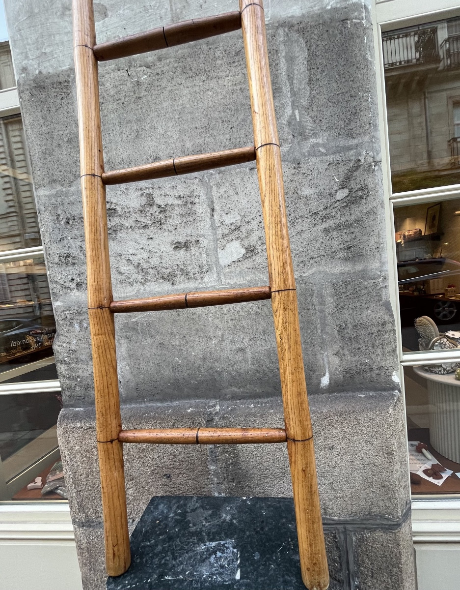 Ash Library Ladder.-photo-3