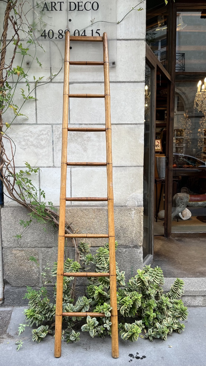 Ash Library Ladder.