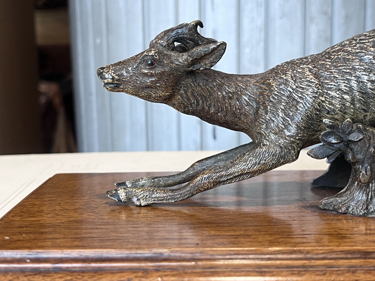 Bronze de Vienne  , pince à courrier .-photo-2