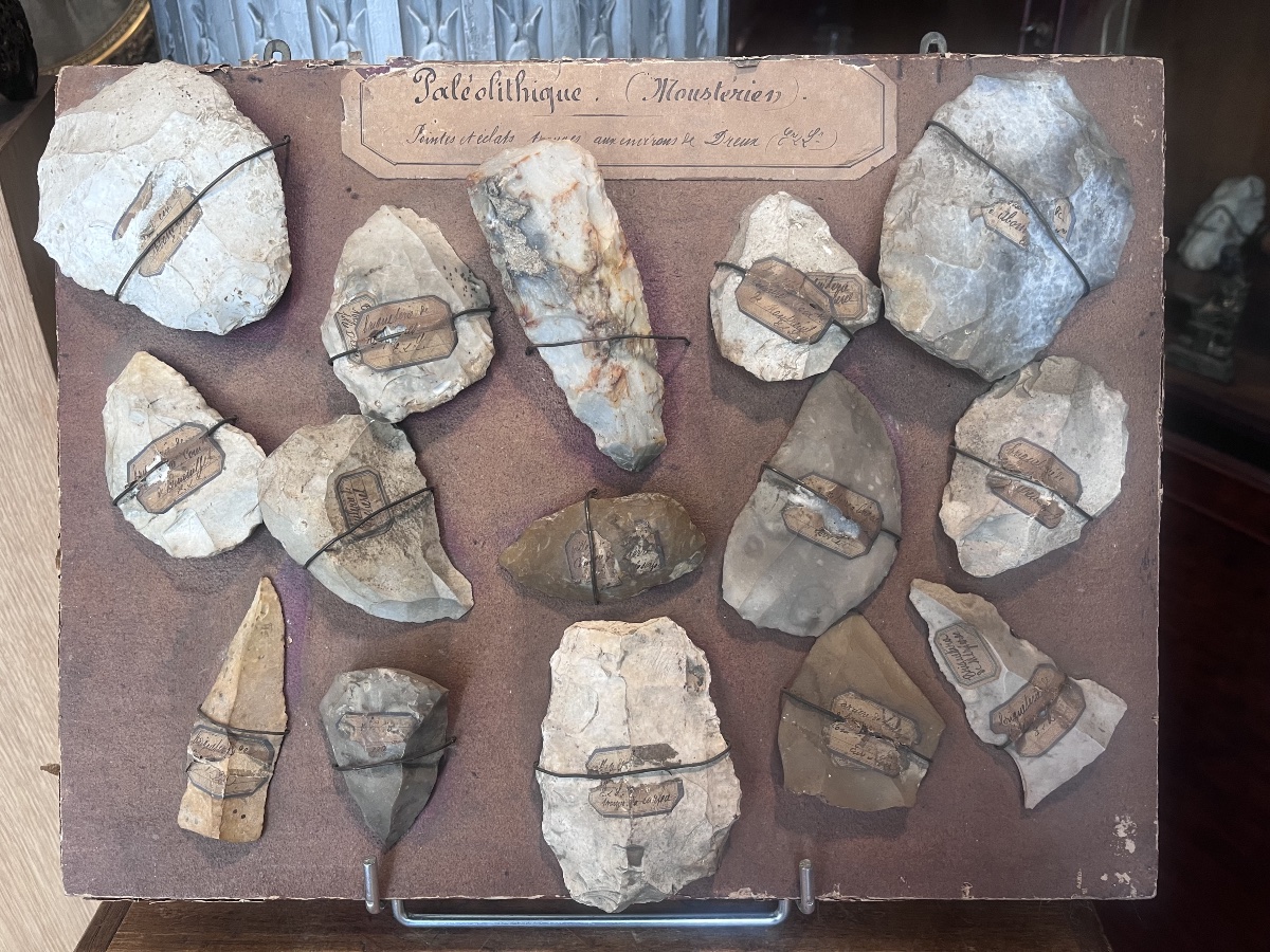 Points And Splinters . Palaeolithic ( Mousterian )