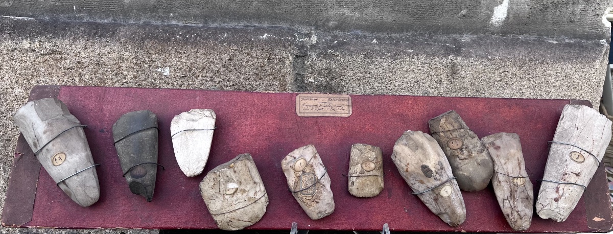 Neolithic Robenhausen .  Axe Fragments.-photo-1