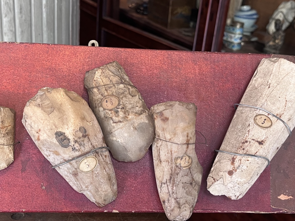 Neolithic Robenhausen .  Axe Fragments.-photo-2