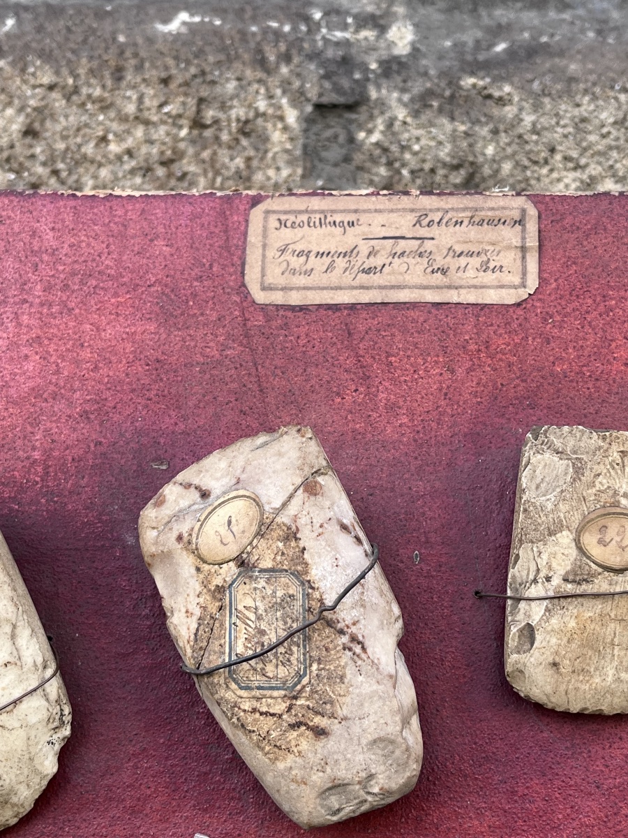 Neolithic Robenhausen .  Axe Fragments.-photo-4