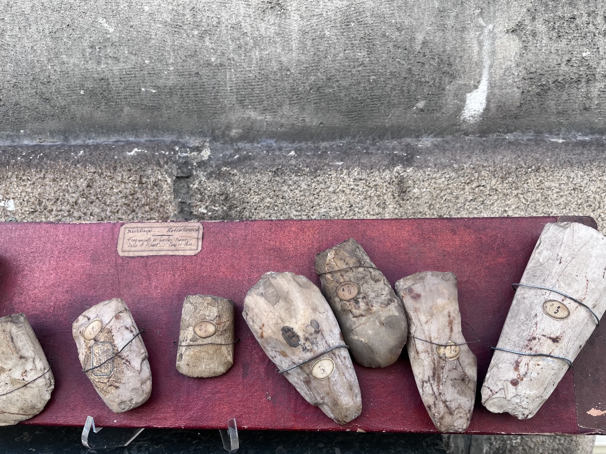 Neolithic Robenhausen .  Axe Fragments.-photo-5