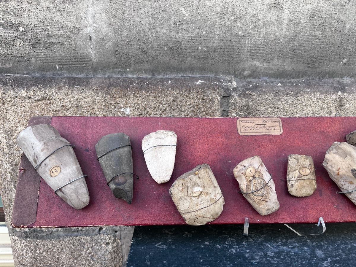 Neolithic Robenhausen .  Axe Fragments.-photo-6