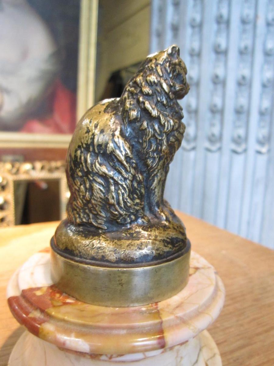 Sitting Bronze Cat In Brown And Black Patina In Absent Party On The Back-photo-2