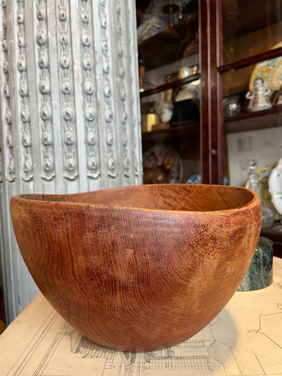 Large Salad Bowl In Monoxyl Wood.