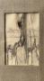 1768184-alb-6a1866c422dbd.jpg