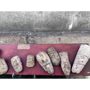 Néolithique Robenhausen . Fragments de haches .