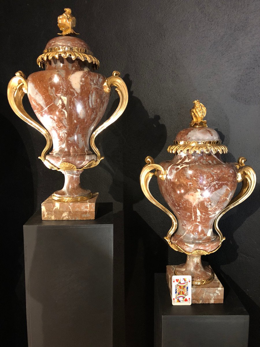Important Pair Of Potiches Covered In The Antique-photo-1