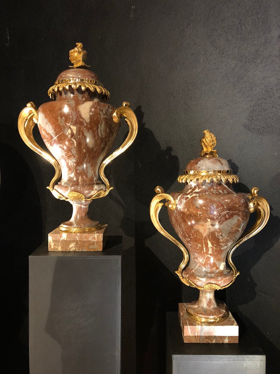 Important Pair Of Potiches Covered In The Antique