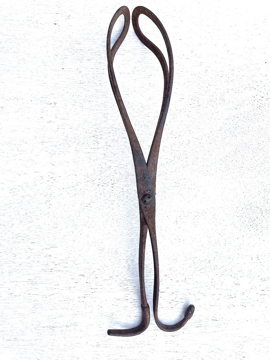 2 Forceps Obstetric Medicine One 18th And One 19th Signed In Vienna-photo-3