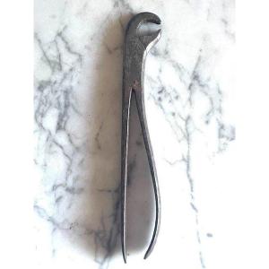 Dental Forceps 18th In Wrought Iron