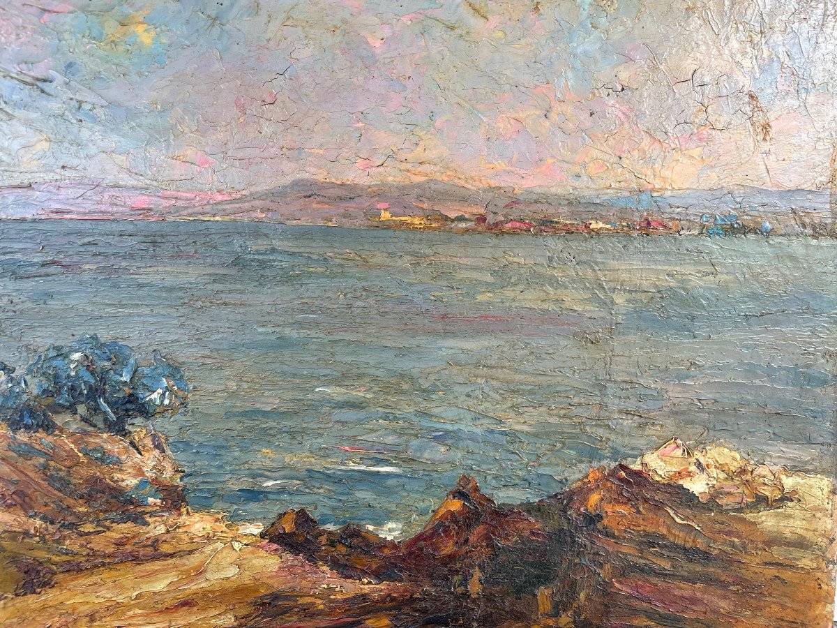 René Etienne - Huile Sur Panneau Bord De Mer Camargue Début XXème