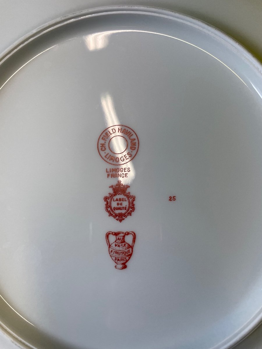 Haviland Pour Le Vase étrusque - Service De Table En Porcelaine 53 Pièces -photo-7
