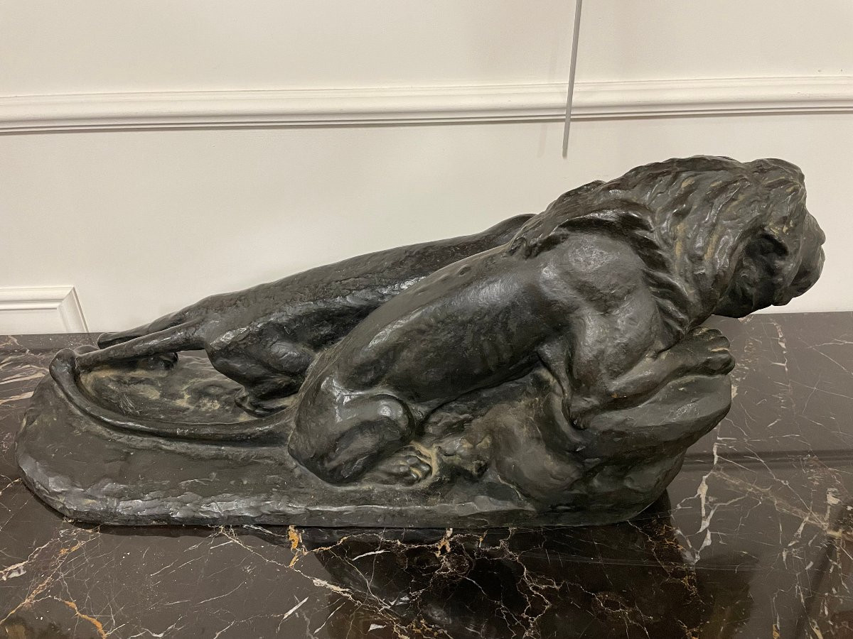 Important Bronze Animal Sculpture - The Lion And Lioness, The Prelude - C. Mazzei-photo-3