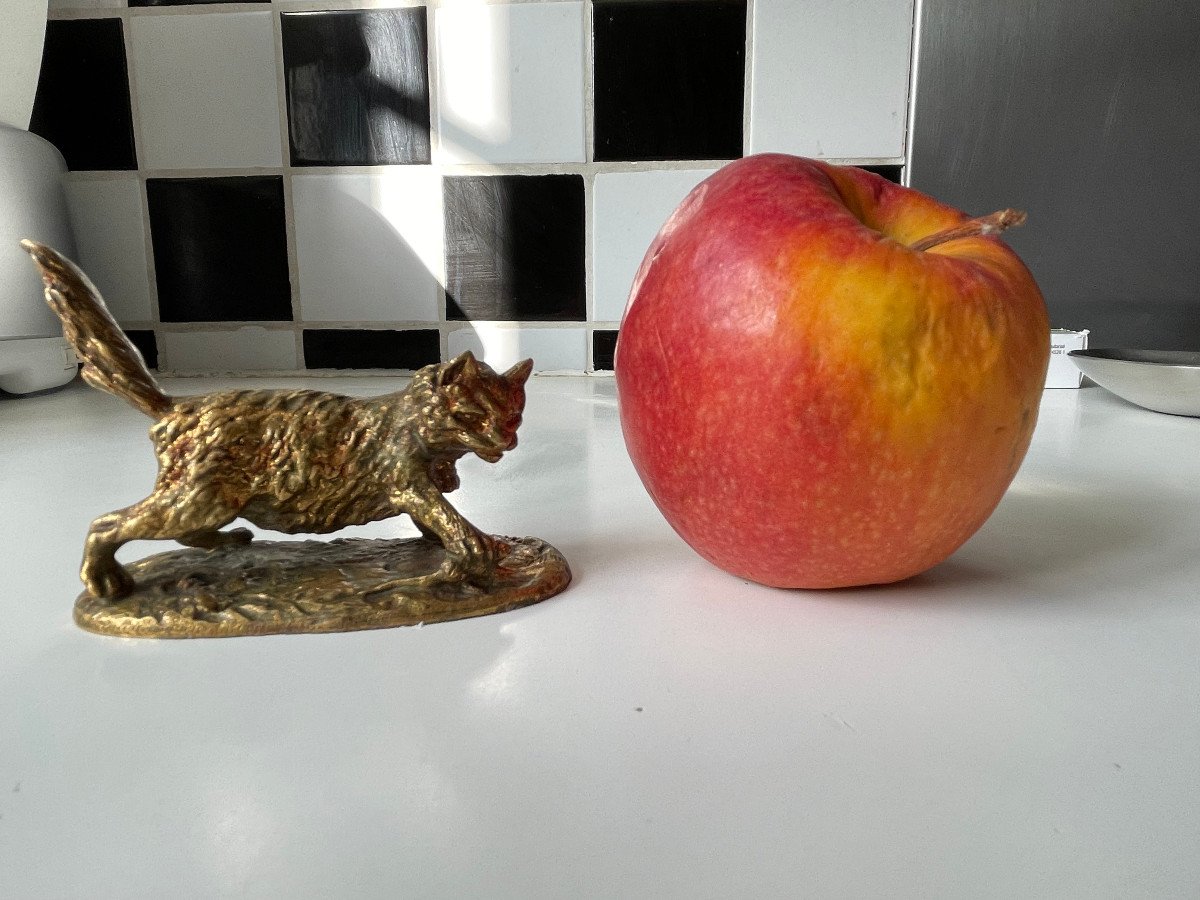Small Bronze -photo-8