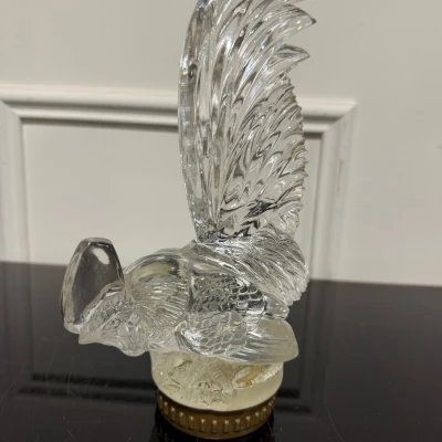 Premiere-Image-1813475