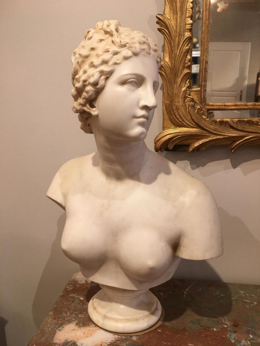 Buste de Venus de Medicis en marbre Époque 19ème