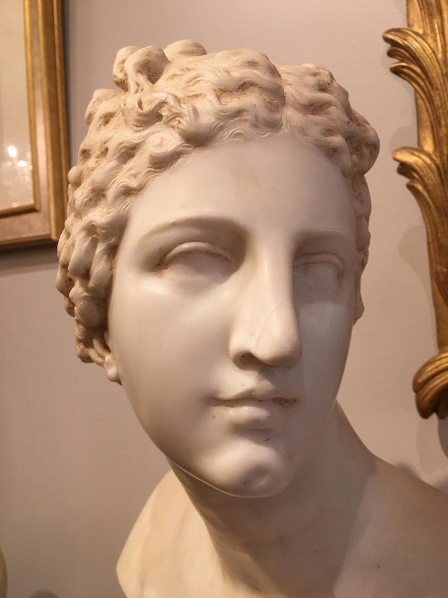 Buste de Venus de Medicis en marbre Époque 19ème-photo-1