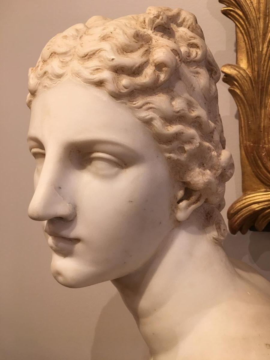 Buste de Venus de Medicis en marbre Époque 19ème-photo-2