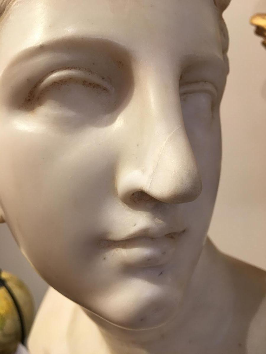 Buste de Venus de Medicis en marbre Époque 19ème-photo-5