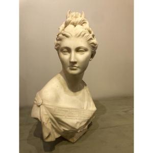 Bust Of Diane In White Marble