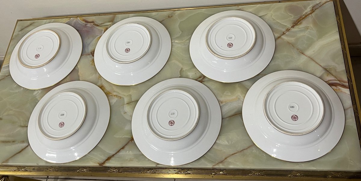 12 Assiettes Creuses En Porcelaine De Sèvres  XIXème siècle-photo-7