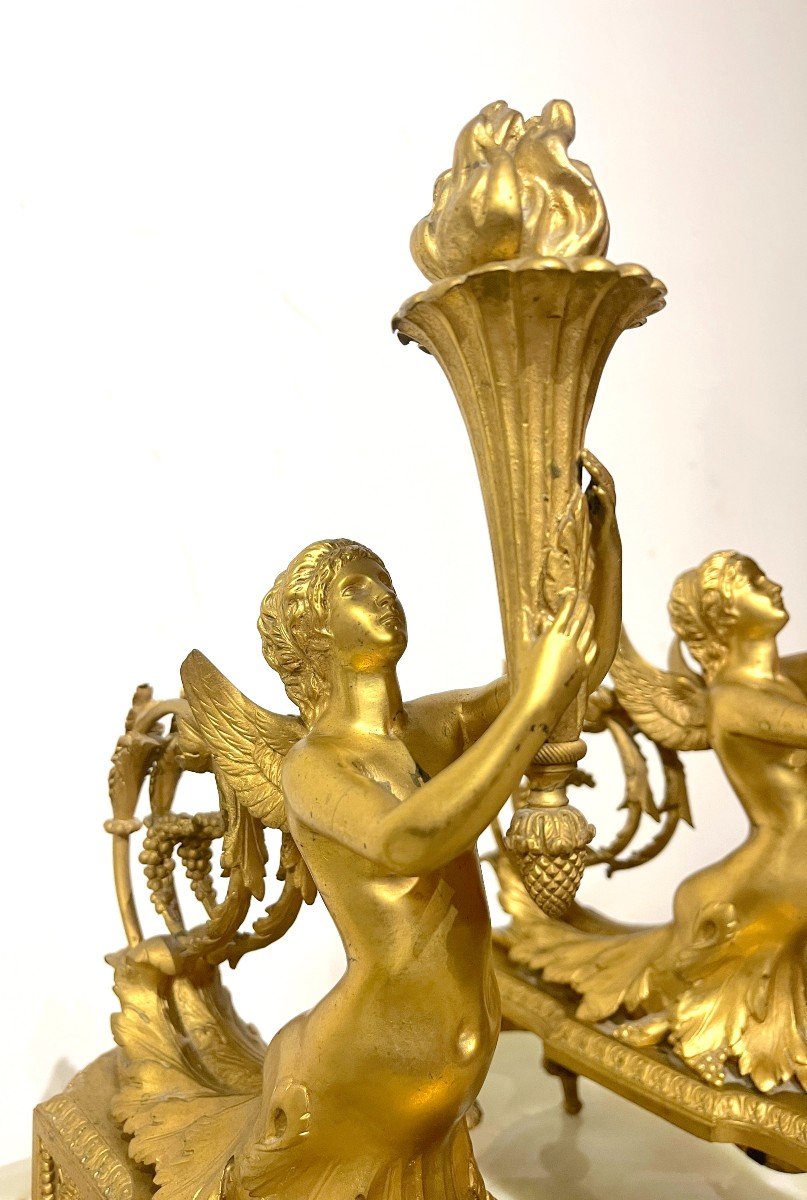 Gilt Bronze Andirons Napoleon III Style Lxvi-photo-6