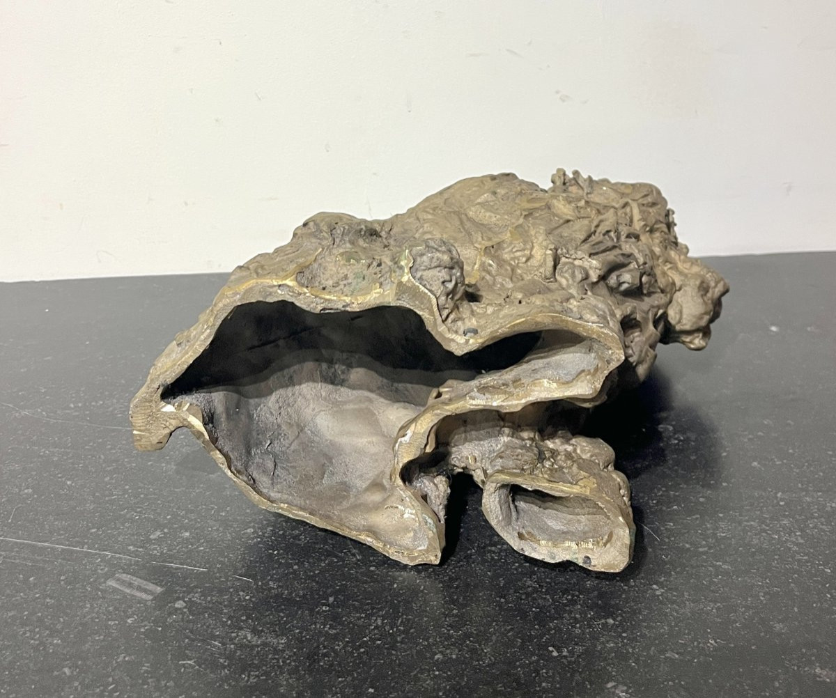 Bronze "westie" Dog -photo-8