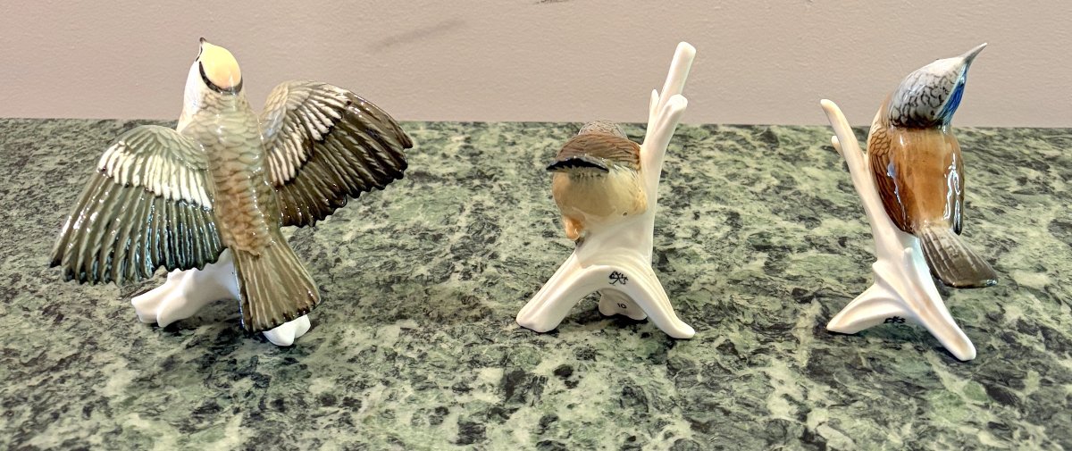 Karl Ens Trois oiseaux en porcelaine polychrome -photo-3