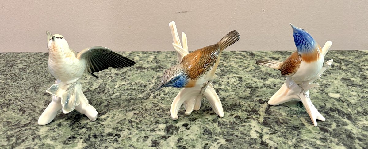 Karl Ens Trois oiseaux en porcelaine polychrome -photo-1