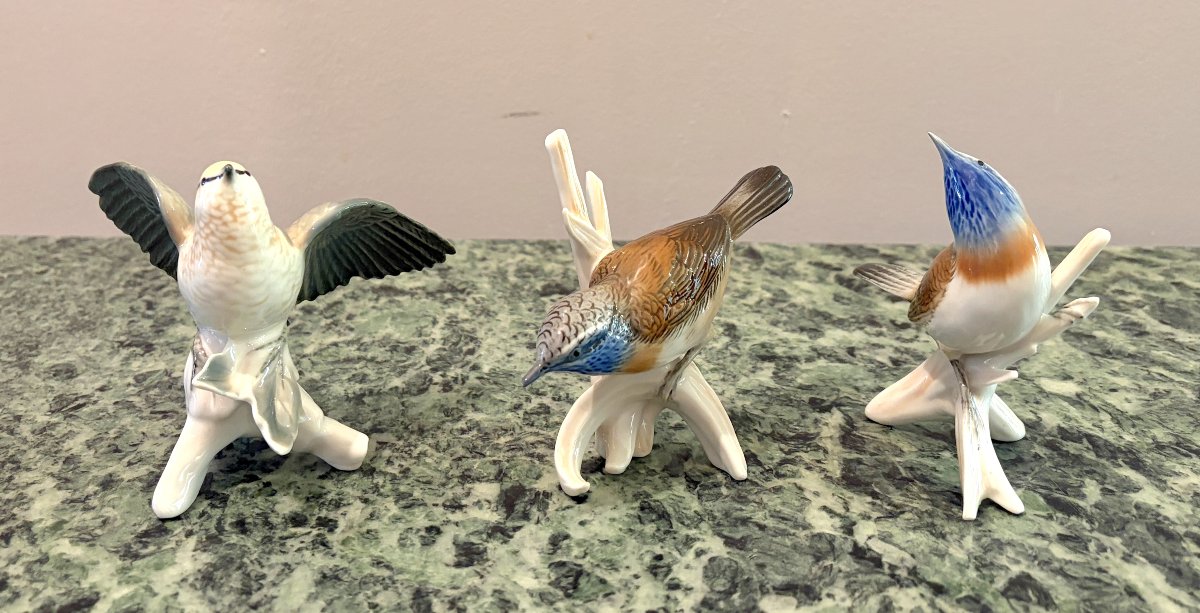 Karl Ens Trois oiseaux en porcelaine polychrome 