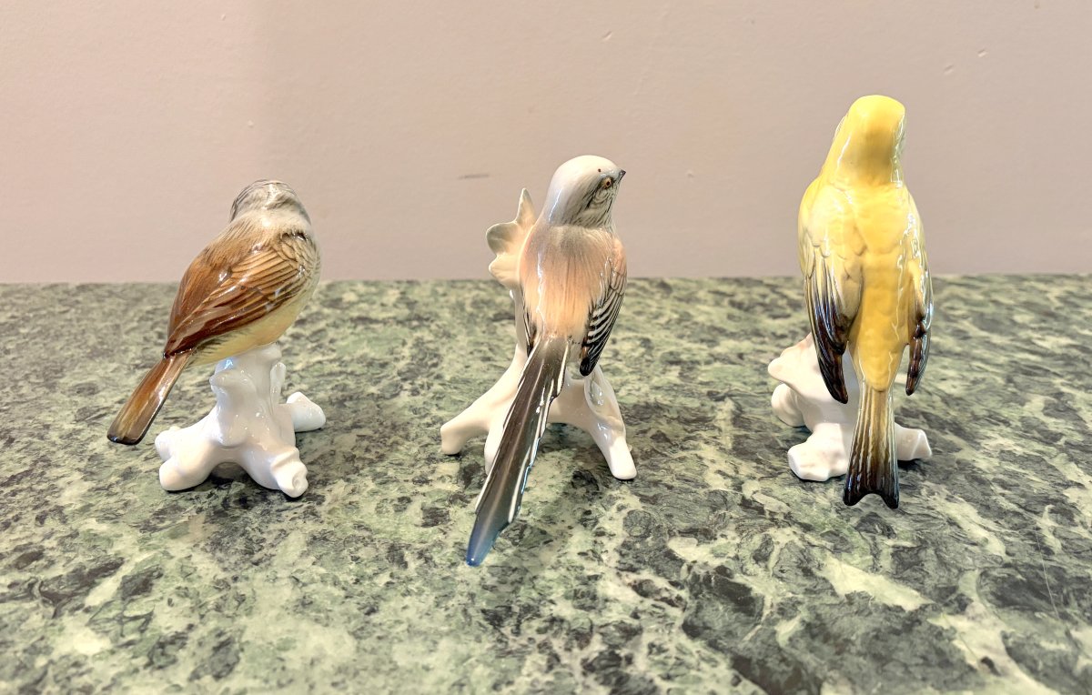 Karl Ens Three Polychrome Porcelain Birds 2-photo-3