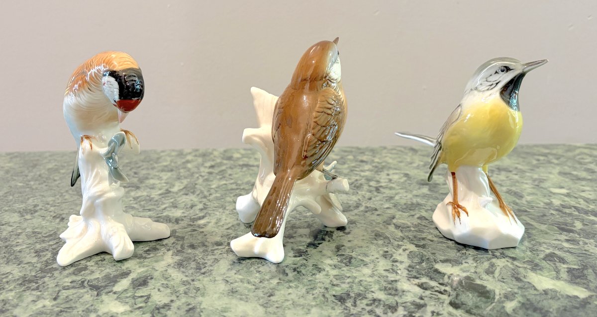 Karl Ens - Trois oiseaux en porcelaine polychrome 3-photo-1