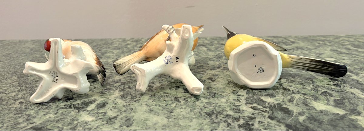 Karl Ens - Trois oiseaux en porcelaine polychrome 3-photo-2