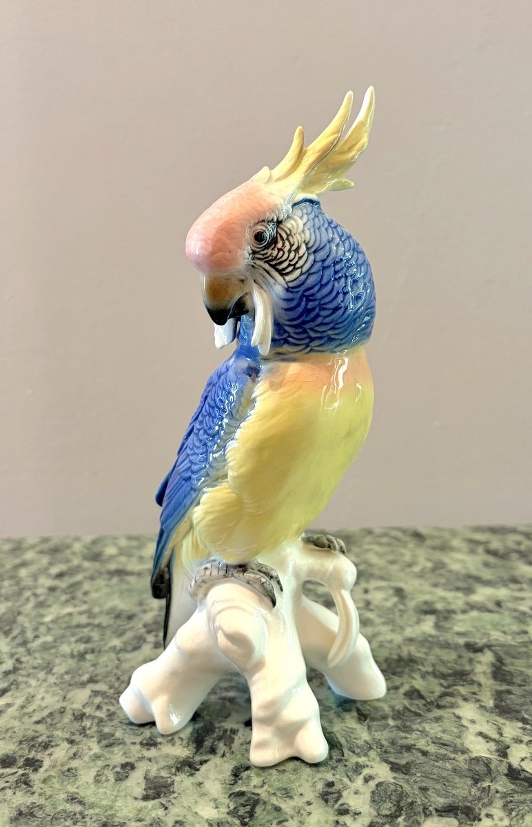 Karl Ens Paire de Perroquets en porcelaine-photo-4