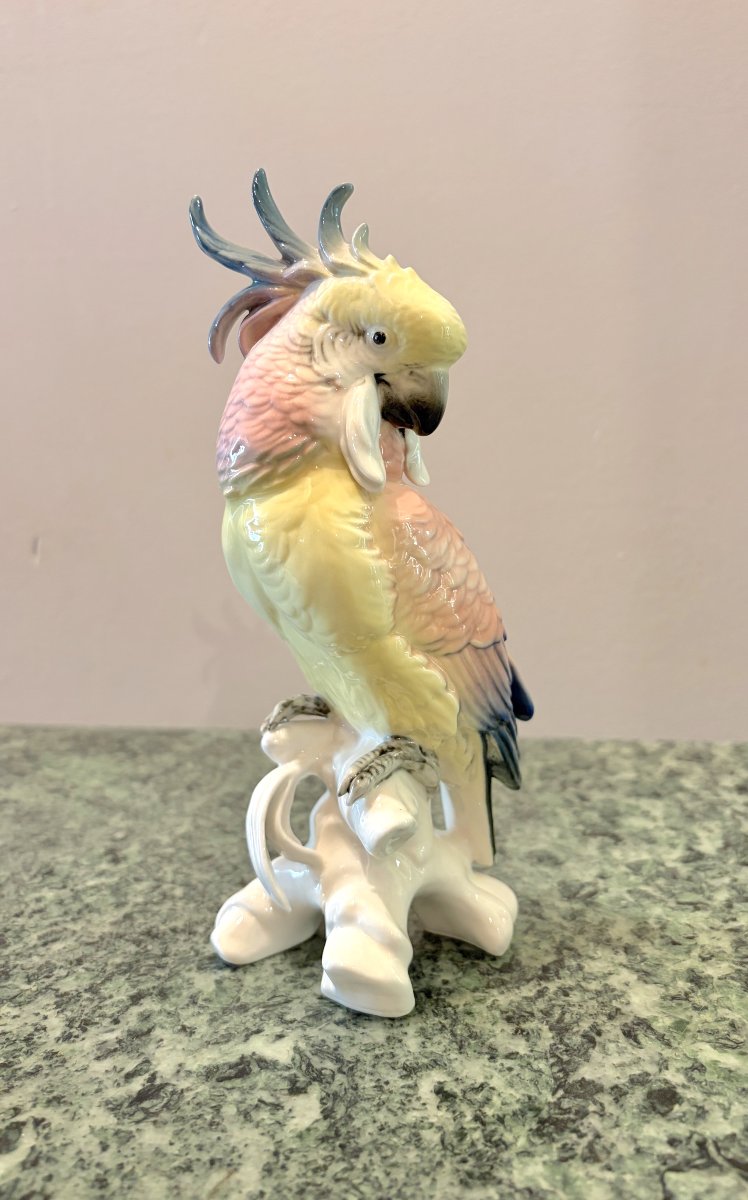 Karl Ens Paire de Perroquets en porcelaine-photo-5