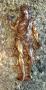 1624084-alb-68dae4864dfef.jpg