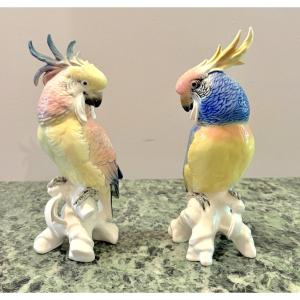 Karl Ens Paire de Perroquets en porcelaine