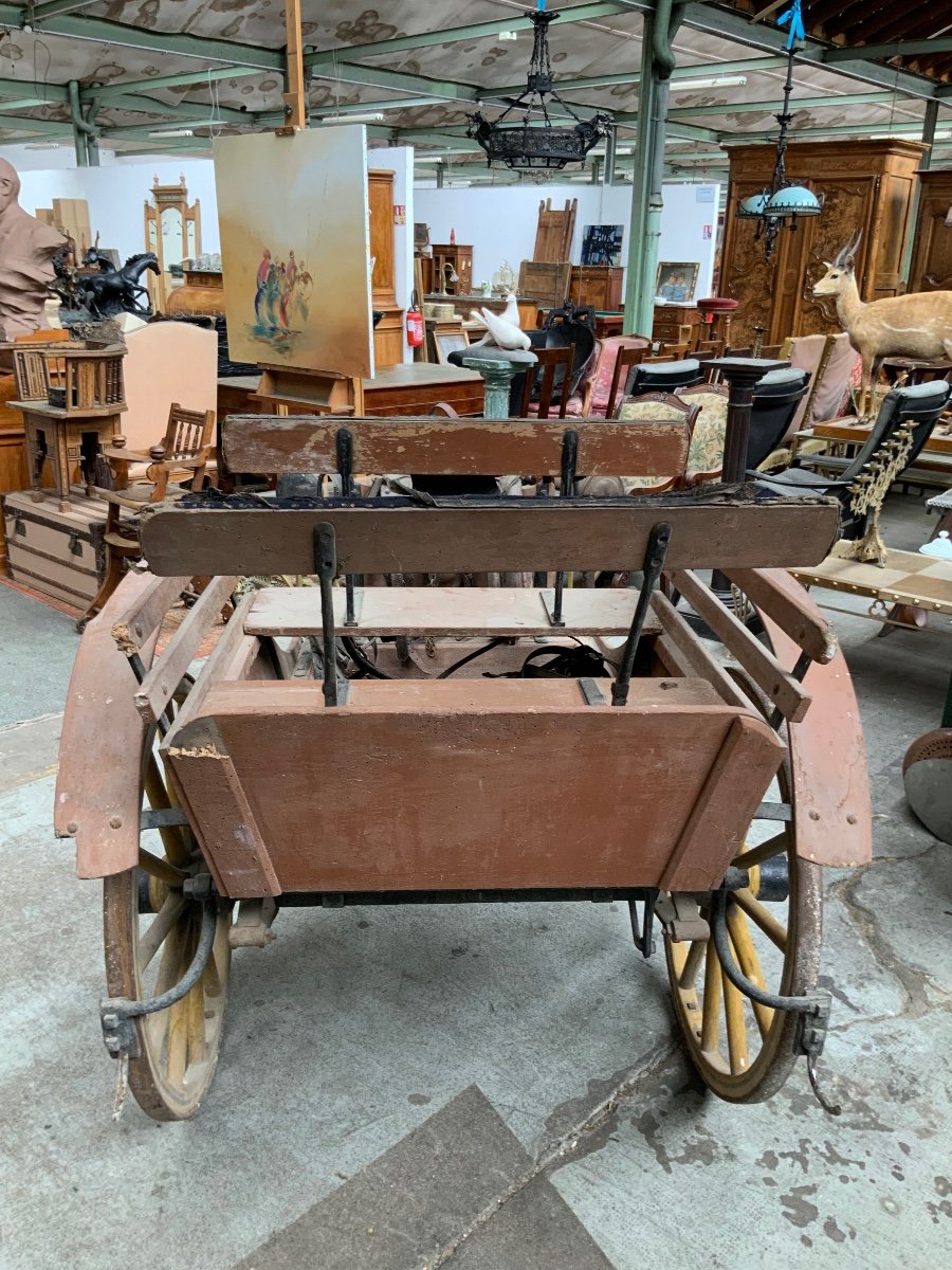 Carriage For Pony, Donkey Or Mule-photo-3