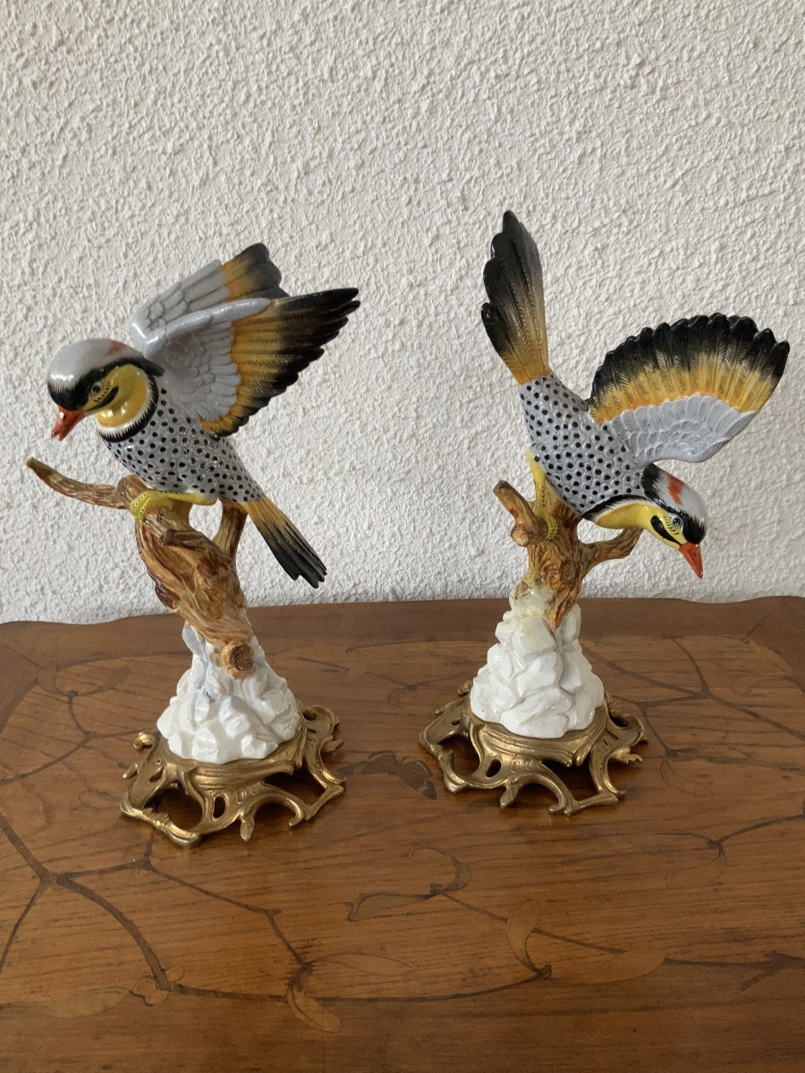 Pairs Of Birds Sèvres