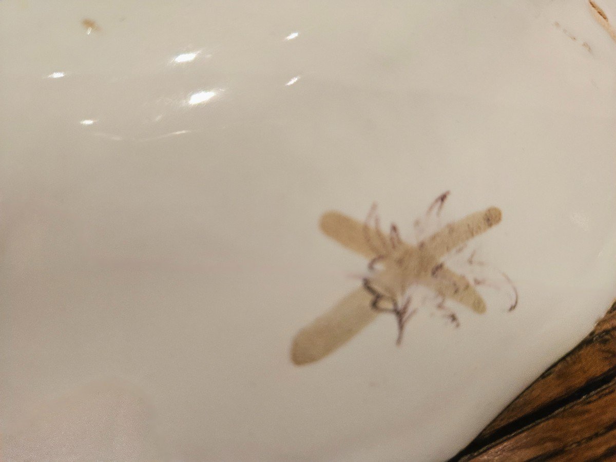 "18th Century Earthenware Plate From Moustiers"-photo-3
