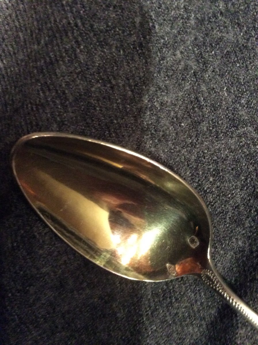 Twelve Small Spoons In Vermeil In Their Box Of Origin In Rosewood-photo-2