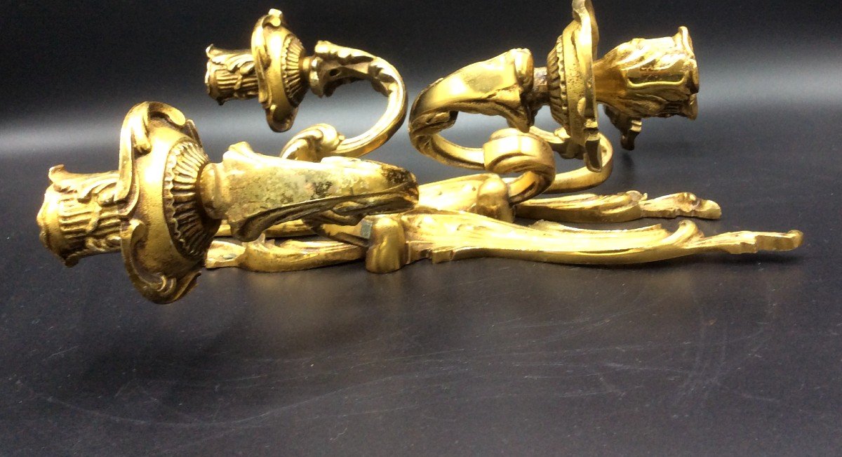 Pair Of Louis XV Rocaille Style Sconces-photo-7