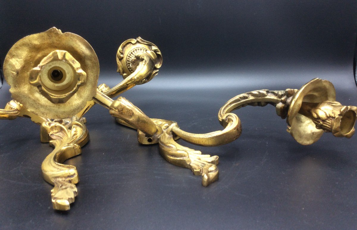 Pair Of Louis XV Rocaille Style Sconces-photo-8