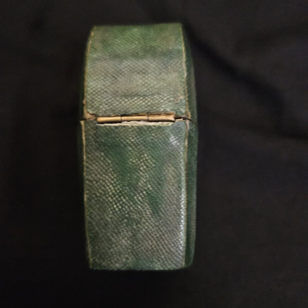 Stingray-covered Perfume Bottle Box-photo-3