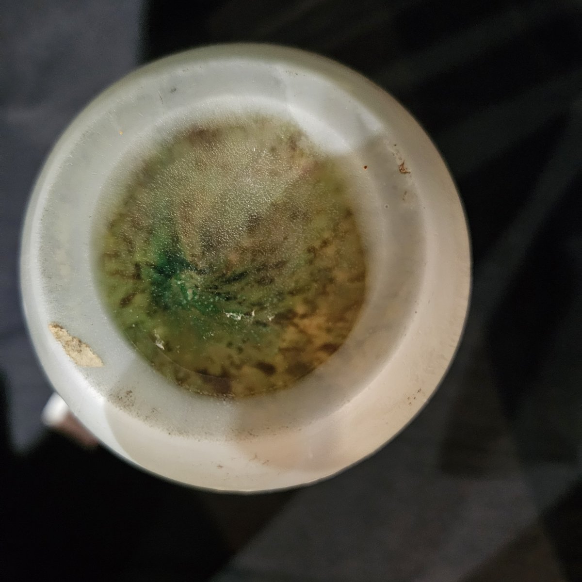 François Théodore Legras. Vase With An Opalescent Base, Acid-etched. "spring" Design. Circa 1900 -photo-5