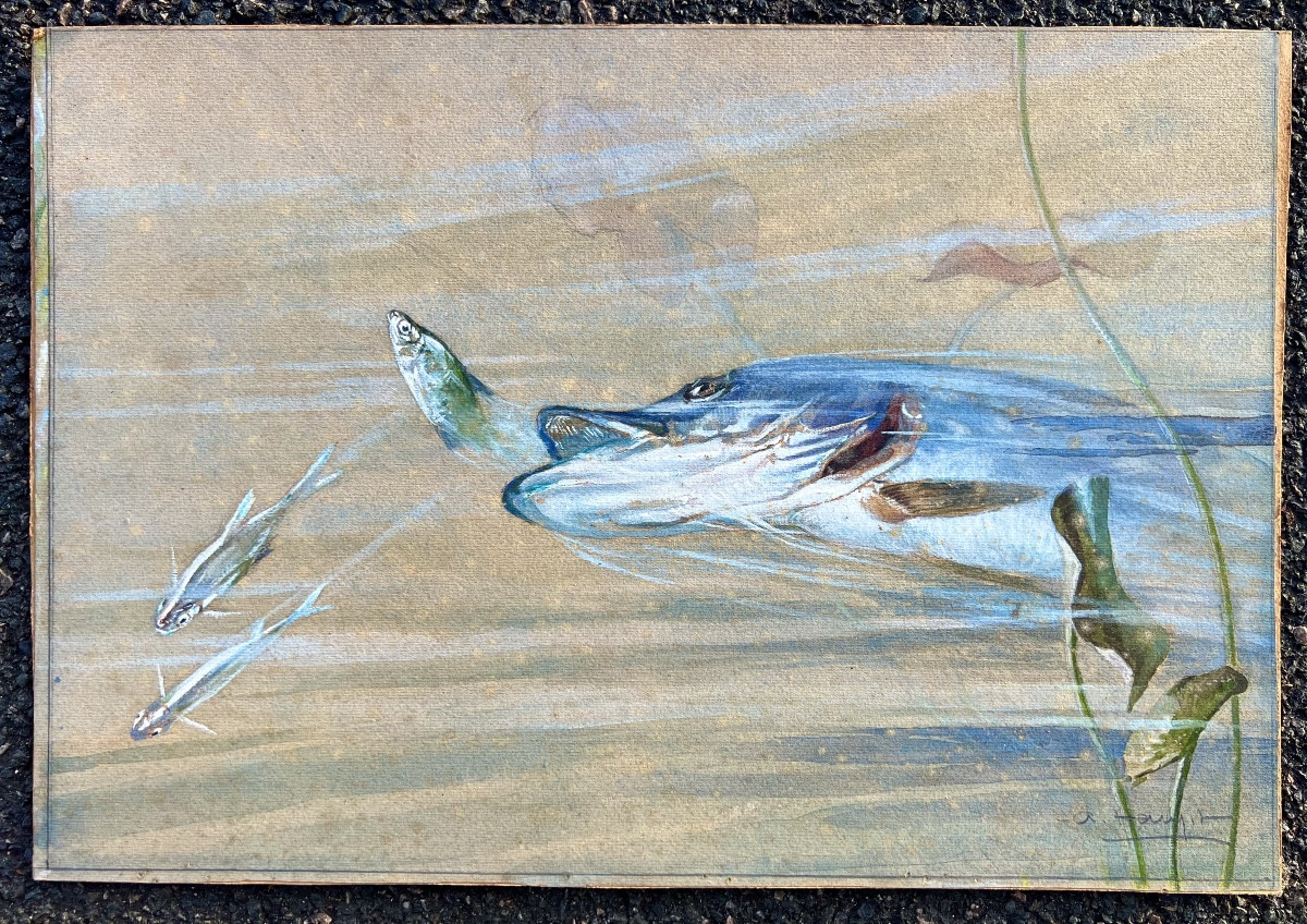 Antique Gouache Painting, "pike Attacking," Signed Albert Hamet, 1930, Fishing And Hunting 