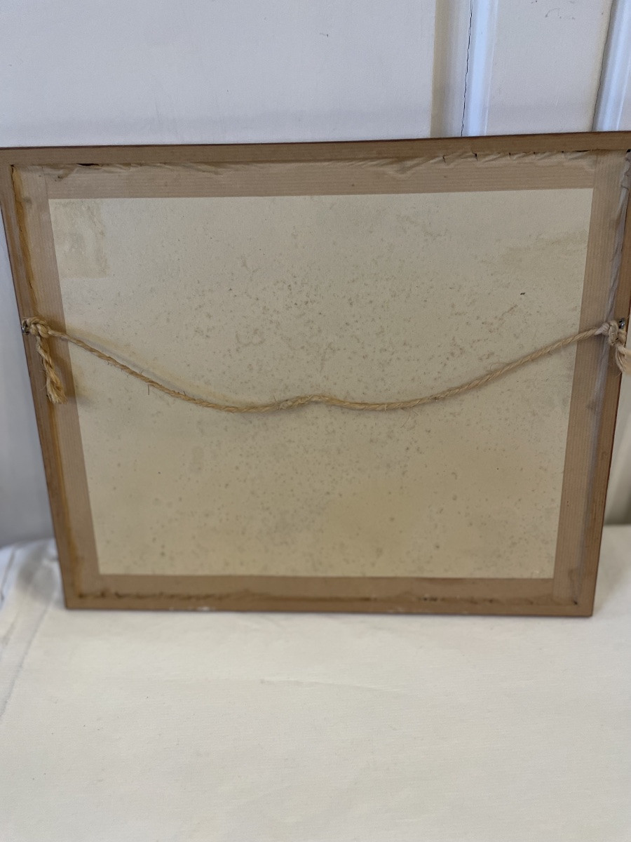 Napoleon's Return From Elba -photo-4